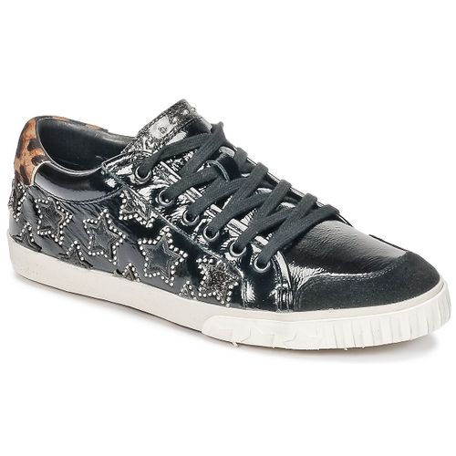 Sneakers basse Ash MAJESTIC BIS - Ash - Modalova