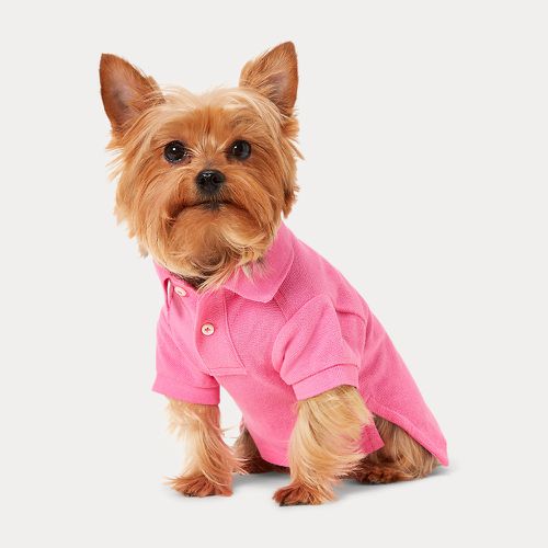 Big Pony Mesh Dog Polo Shirt - Ralph Lauren - Modalova