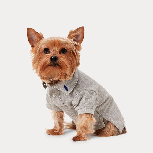 Cotton Mesh Dog Polo Shirt - Ralph Lauren - Modalova