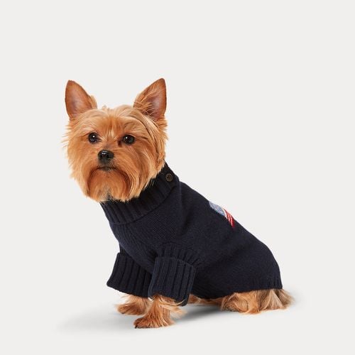 Flag Wool-Cashmere Dog Jumper - Polo Ralph Lauren - Modalova