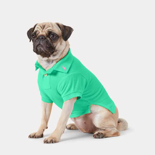 Cotton Mesh Dog Polo Shirt - Ralph Lauren - Modalova