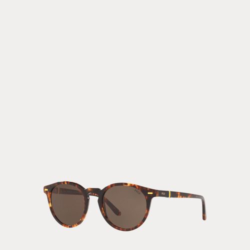 Tortoiseshell Panto Sunglasses - Polo Ralph Lauren - Modalova