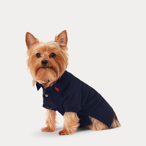 Cotton Mesh Dog Polo Shirt - Polo Ralph Lauren - Modalova