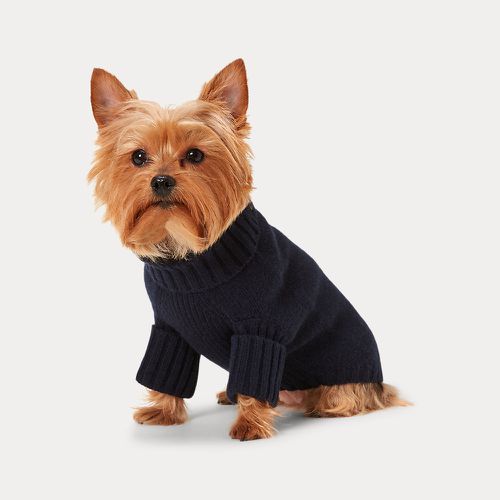 Polo Bear Wool-Cashmere Dog Jumper - Polo Ralph Lauren Home - Modalova