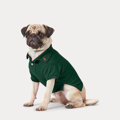 Cotton Mesh Dog Polo Shirt - Polo Ralph Lauren - Modalova