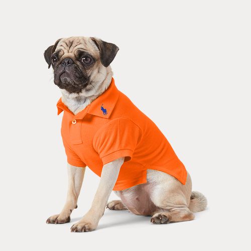 Cotton Mesh Dog Polo Shirt - Polo Ralph Lauren Home - Modalova