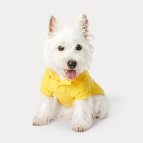 Polo Bear Cotton Mesh Dog Polo Shirt - Polo Ralph Lauren Home - Modalova