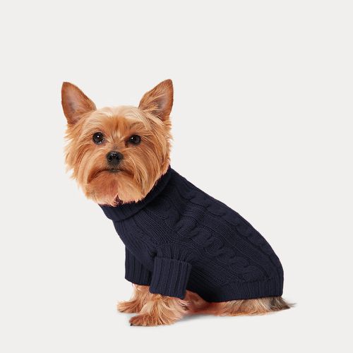 Cable-Knit Cashmere Dog Jumper - Polo Ralph Lauren - Modalova