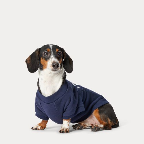 Fleece Crewneck Dog Sweatshirt - Polo Ralph Lauren - Modalova