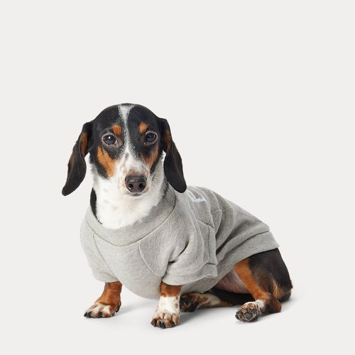 Fleece Crewneck Dog Sweatshirt - Polo Ralph Lauren - Modalova