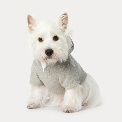 Polo Bear Fleece Dog Hoodie - Polo Ralph Lauren - Modalova