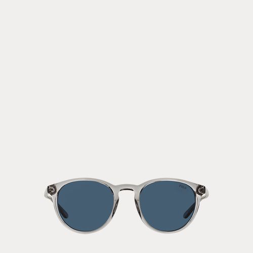 Classic Panto Sunglasses - Polo Ralph Lauren - Modalova