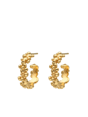 Céleste Deux Small Hoop Earrings 14k | Women's Earrings - Eva Remenyi - Modalova
