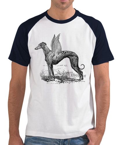 Camiseta Camiseta Greyhound divine chico - latostadora.com - Modalova