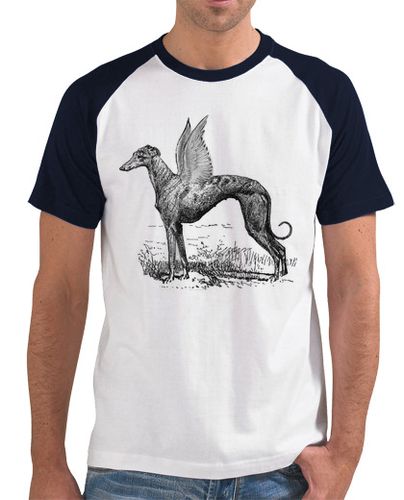 Camiseta Camiseta Greyhound divine chico laTostadora - latostadora.com - Modalova