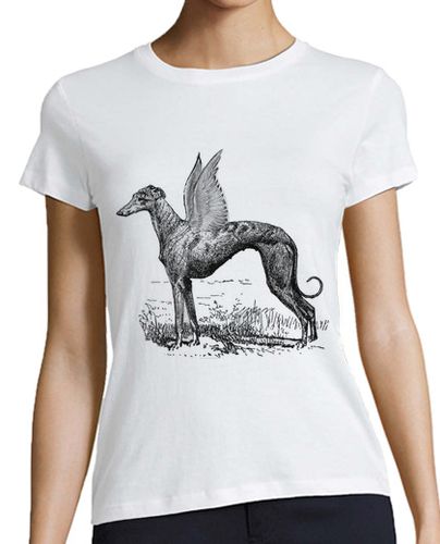 Camiseta mujer Camiseta Greyhound divine chica - latostadora.com - Modalova