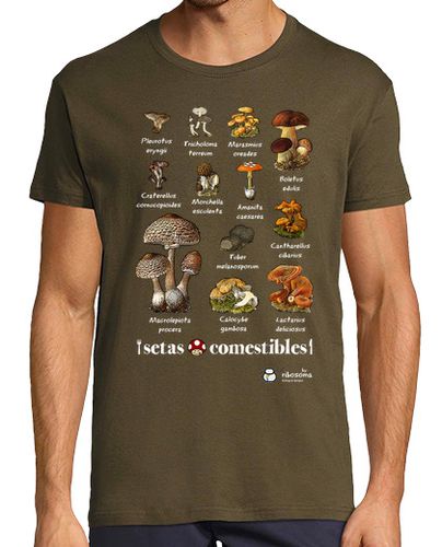 Camiseta Hombre Manga Corta Setas comestibles laTostadora - latostadora.com - Modalova