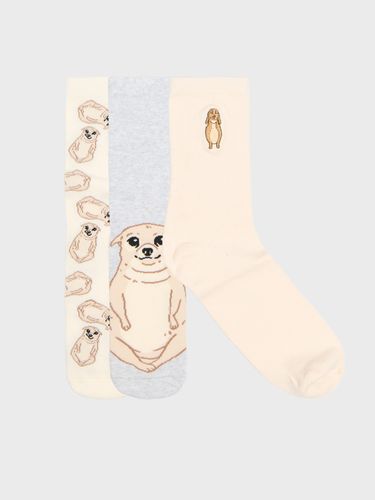 Pack de 2 pares de calcetines - Cropp - Modalova
