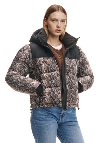 Chaqueta puffer acolchada con capucha - Cropp - Modalova