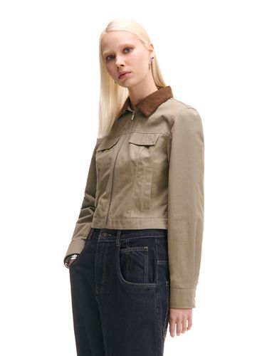 Cropp - Chaqueta - Beige - Cropp - Modalova