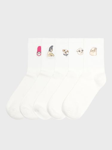 Pack de 5 pares de calcetines - Cropp - Modalova