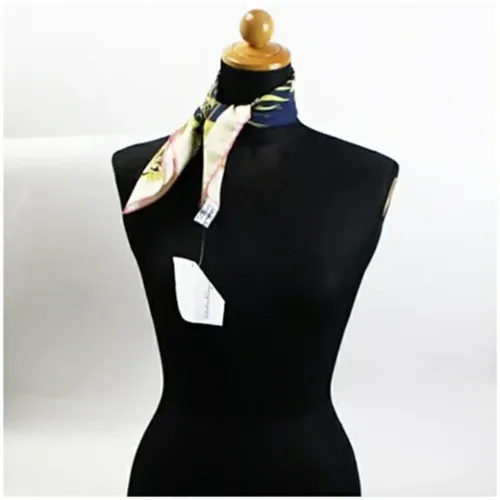 Pre-owned Scarf - Salvatore Ferragamo Pre-owned - Modalova