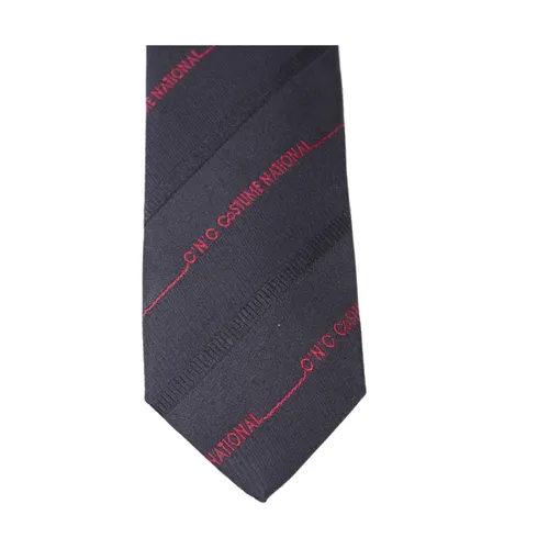 Tie - Costume National - Modalova