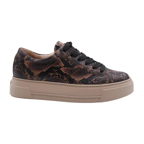 Perikel Sneaker - Paul Green - Modalova