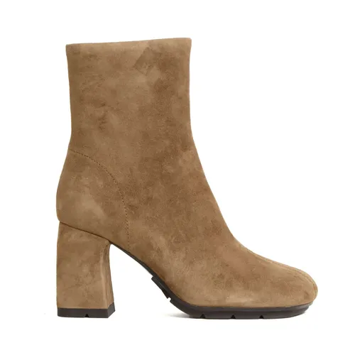 Suede Ankle Boot - ASH - Modalova