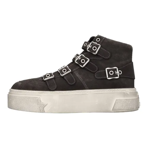 Sneakers Grigie - ASH - Modalova