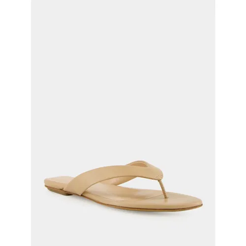 Fawn Flat Leather Thong Sandals - Le Monde Beryl - Modalova
