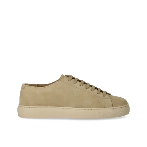 Suede Sneaker with Cotton Laces - Doucal's - Modalova