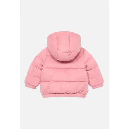 Hooded Nylon Jacket - Tommy Hilfiger - Modalova