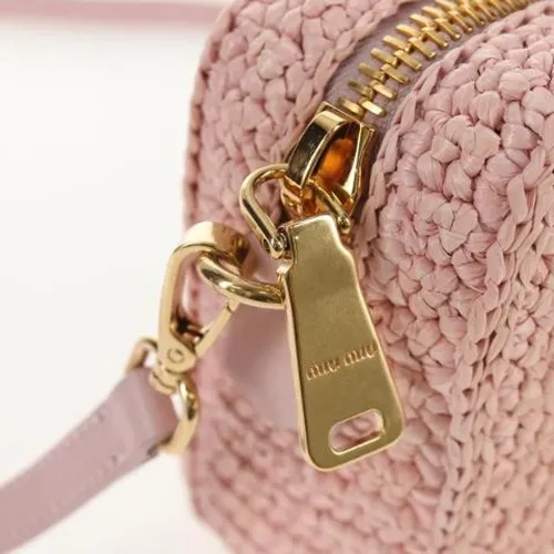 Pre-owned Mini Bag - Miu Miu Pre-owned - Modalova