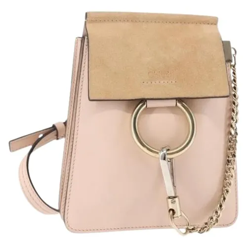 Pre-owned Leather Mini Bag - Chloé Pre-owned - Modalova