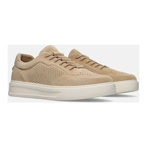 Phoenix Sneaker - Barracuda - Modalova