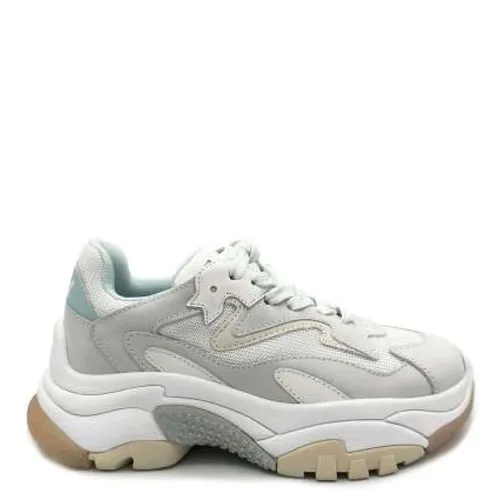 Addict Lace-Up Sneaker - ASH - Modalova