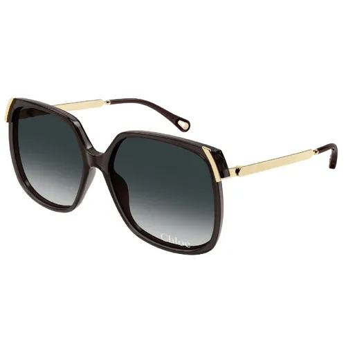Accessories > Sunglasses - - Chloé - Modalova