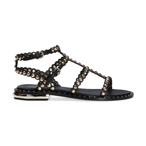 Low Model Sandal - ASH - Modalova