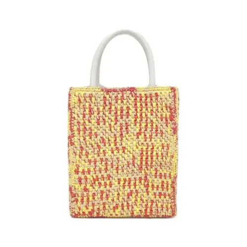 Pre-owned Raffia Shoulder Bag - Loewe Pre-owned - Modalova