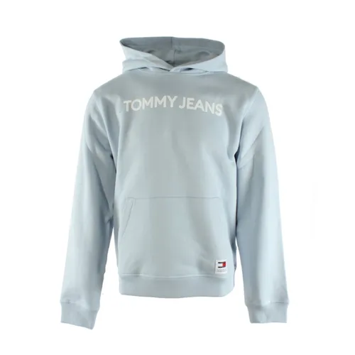 Sweatshirts & Hoodies > Hoodies - - Tommy Hilfiger - Modalova