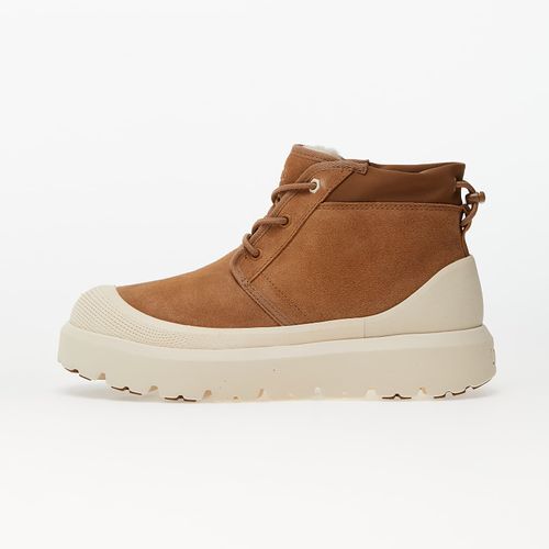Scarpe M Neumel Weather Hybrid / 12 - UGG - Modalova