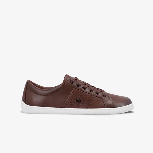 Scarpe Be Lenka Elite Dark Brown 36 - Be Lenka - Modalova