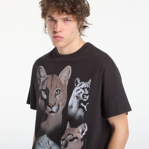 Maglietta Dylan Wildcat Tee Ii L - Puma - Modalova
