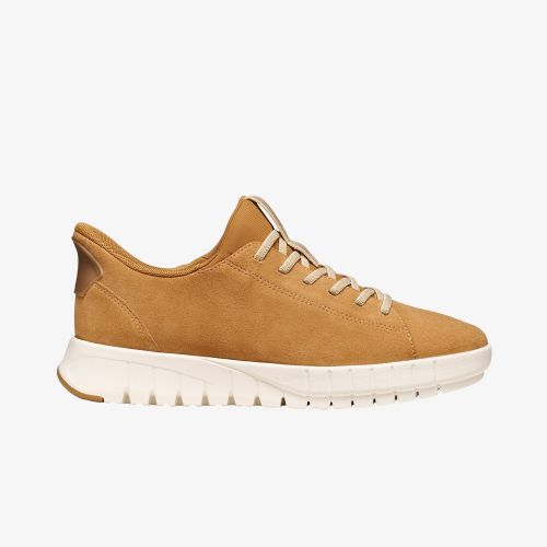 Sneakers Flextride Plus EUR 36 - Geox - Modalova