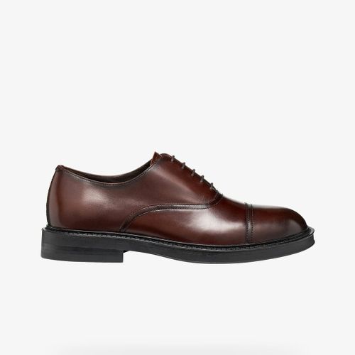 Sneakers Geox Bexford Brown EUR 46 - Geox - Modalova
