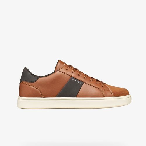Sneakers Baltmoore EUR 42 - Geox - Modalova