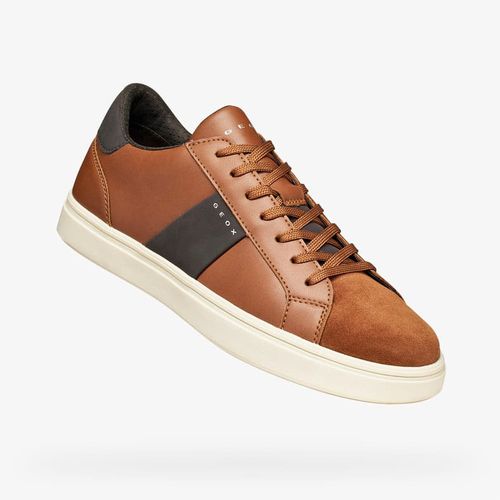 Sneakers Baltmoore EUR 42 - Geox - Modalova