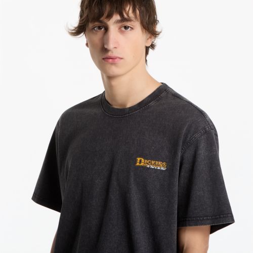 Maglietta Gainesville SS Tee M - Dickies - Modalova