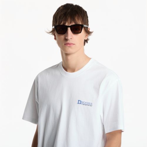 Maglietta Gainesville SS Tee S - Dickies - Modalova